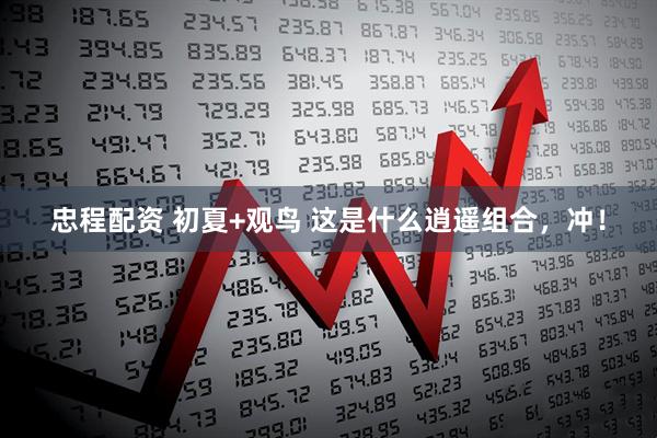 忠程配资 初夏+观鸟 这是什么逍遥组合，冲！