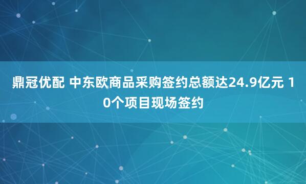 鼎冠优配 中东欧商品采购签约总额达24.9亿元 10个项目现场签约