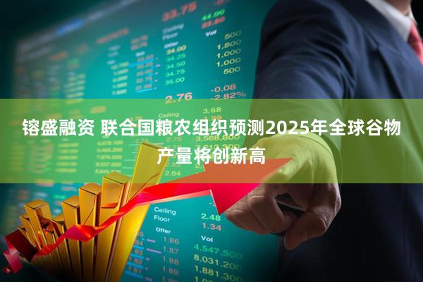 镕盛融资 联合国粮农组织预测2025年全球谷物产量将创新高