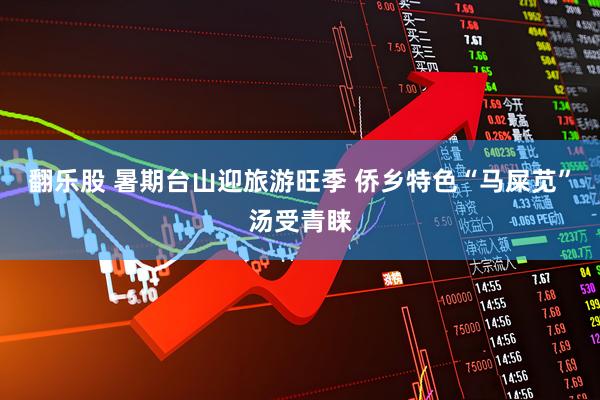 翻乐股 暑期台山迎旅游旺季 侨乡特色“马屎苋”汤受青睐