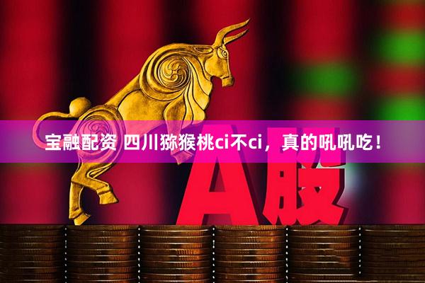宝融配资 四川猕猴桃ci不ci，真的吼吼吃！