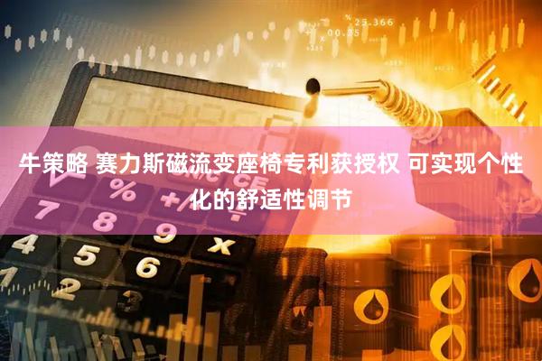 牛策略 赛力斯磁流变座椅专利获授权 可实现个性化的舒适性调节
