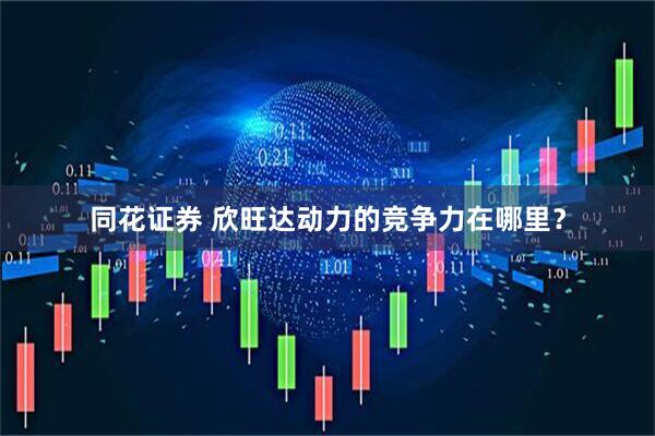 同花证券 欣旺达动力的竞争力在哪里？