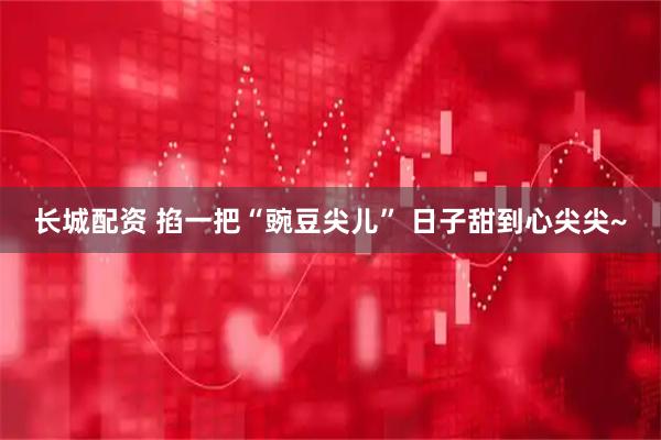 长城配资 掐一把“豌豆尖儿” 日子甜到心尖尖~