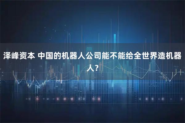 泽峰资本 中国的机器人公司能不能给全世界造机器人？