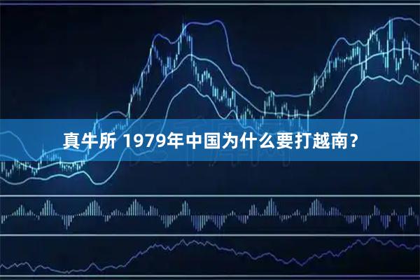 真牛所 1979年中国为什么要打越南？